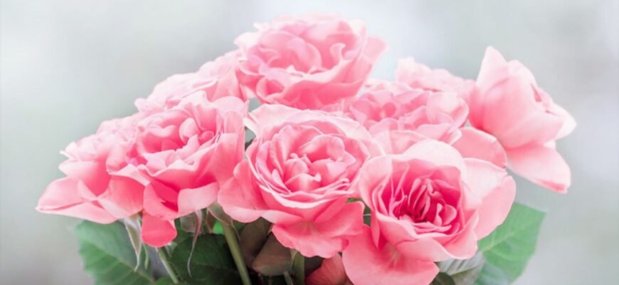 З днем народження! Бажаю жити в ритмі щастя