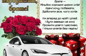 З днем народження, братику Вітаю тебе з ювілеєм