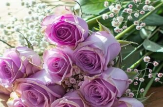 З днем народження, дорога тітка! Будь щаслива здорова