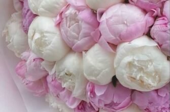 З днем народження, друже Мати такого друга — це справжній подарунок