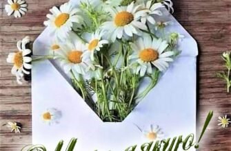 З днем народження, мій дорогий друже! Бажаю тобі щедрості від життя