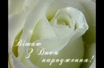 З днем народження, мій дорогий друже! Бажаю тобі щедрості від життя