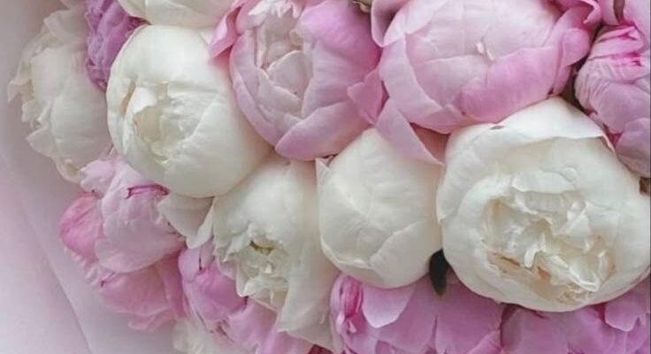 З днем народження, мила подруго! Бажаю, щоб відтепер на твоєму життєвому шляху