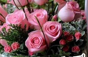 З Днем народження, наша красуне! Нехай твої дні будуть сповнені радості