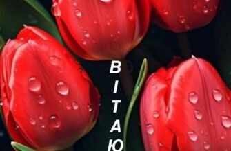 З днем народження! Нехай кожен день буде наповнений дивами