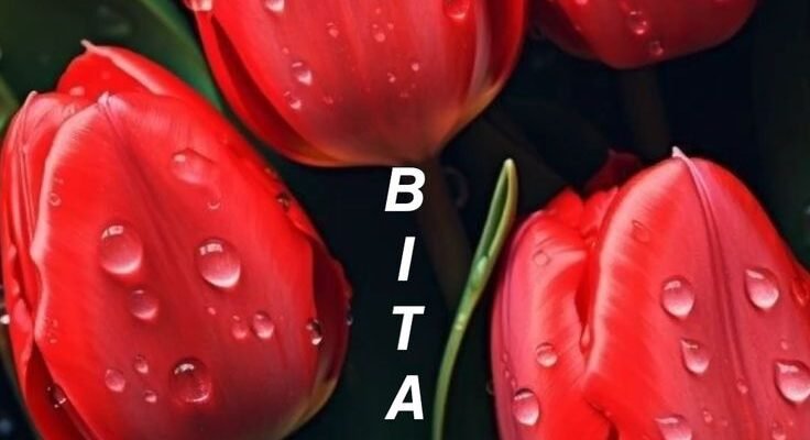 З днем народження! Нехай кожен день буде наповнений дивами