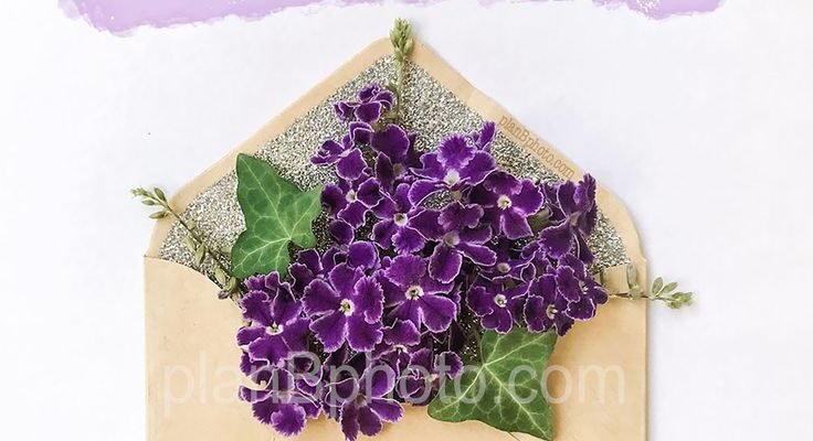 З днем народження! Нехай неодмінно поруч з тобою