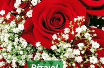 З днем народження! Нехай щастя, здоров’я та енергія