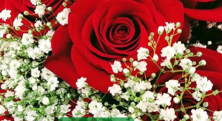 З днем народження! Нехай щастя, здоров’я та енергія