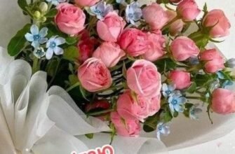 З днем народження! Нехай ти будеш яскравою зіркою