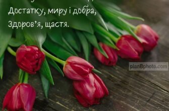 З днем народження! Нехай у тебе буде все найкраще