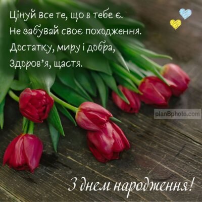 З днем народження! Нехай у тебе буде все найкраще