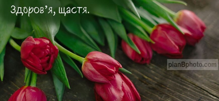 З днем народження! Нехай у тебе буде все найкраще