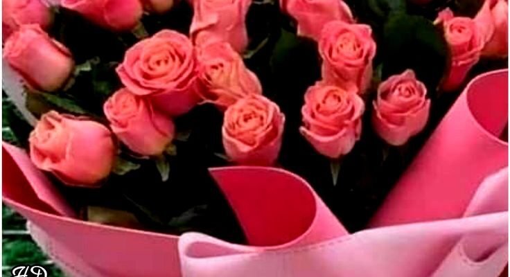 З днем народження, рідна! Ти — наше сонечко