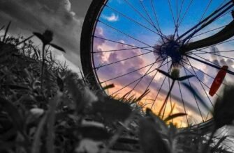 З Днем знань! Бажаю ніколи не сумніватися в собі