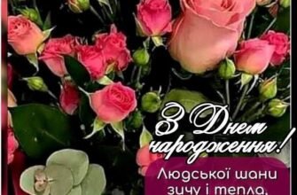 З ювілеєм тебе, моя кохана! Ти вступила в нову пору цвітіння і краси