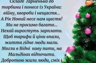 З Новим роком! Бажаю міцного сімейного вогнища