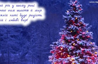 З Новим роком! Хай кожен день нового року дарує посмішки