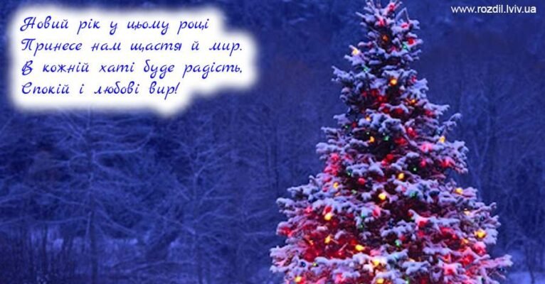 З Новим роком! Хай кожен день нового року дарує посмішки