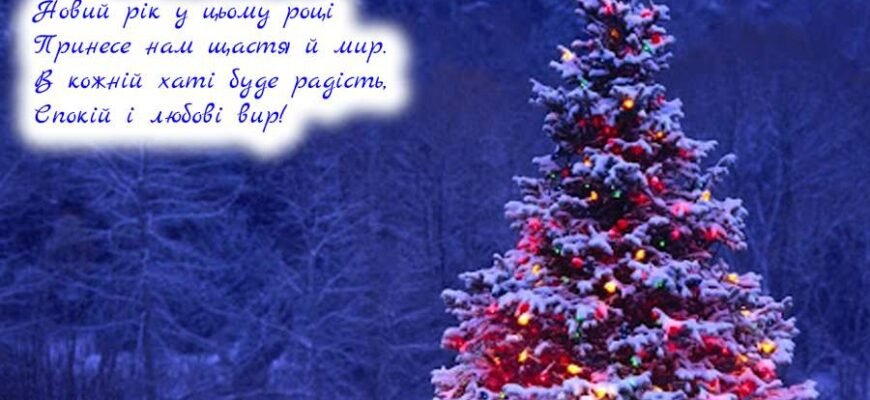 З Новим роком! Хай кожен день нового року дарує посмішки