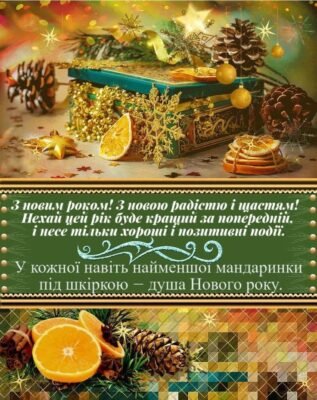 З Новим Роком! Хай у цьому році реалізуються всі твої професійні таланти