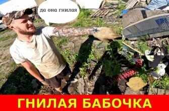 З п’ятницею я всіх вітаю і від щирого серця бажаю гарних вихідних!