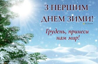 З першим днем зими тебе! Нехай він принесе легкість і свіжість