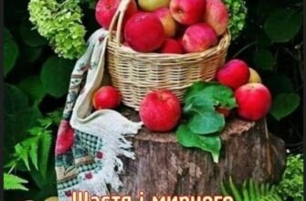 З Яблучним Спасом вітаю і бажаю світлого і праведного шляху