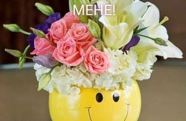 З Ювілеєм, мій найвірніший, надійний і улюблений друг