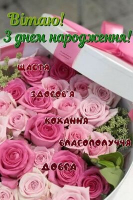 Запрошую на святкування мого дня народження ___ Запрошую на святкування мого дня народження ___