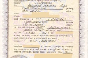 Як оформити пай: покрокова інструкція для успішного оформлення землі