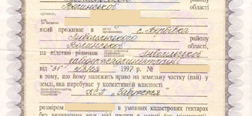 Як оформити пай: покрокова інструкція для успішного оформлення землі