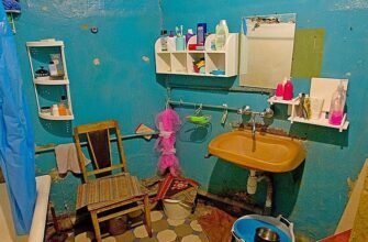 Житло може повідати багато про свого господаря