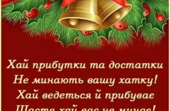 Зі Старим Новим Роком Хай старий рік забере всі негаразди