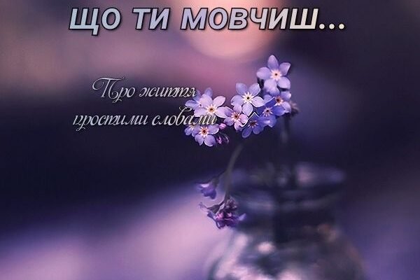 Знаєте, це красиво, коли між близькими людьми панує щирість