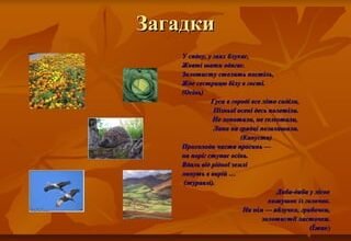 Золотокоса осінь вже надворі; Дерева опускають жовті шати…
