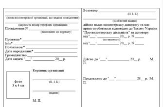 Чіткий гід: як оформити документи волонтера швидко і без проблем
