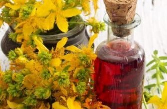 Як правильно приготувати звіробійне масло в домашніх умовах: покрокова інструкція