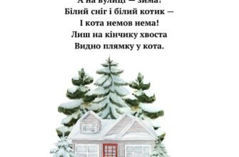 Зима в свої права вступила І місяць цей нову пору відкрив
