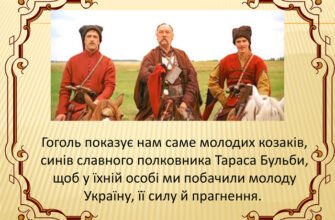 Де здобували освіту Остап та Андрій: шлях навчання героїв роману