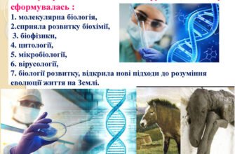 Ампліфікація генів: процеси, значення та застосування в біології