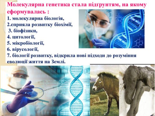 Ампліфікація генів: процеси, значення та застосування в біології