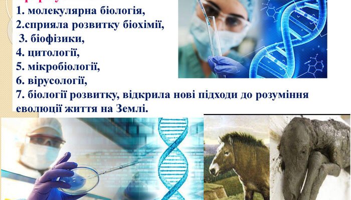 Ампліфікація генів: процеси, значення та застосування в біології Ампліфікація генів: процеси, значення та застосування в біології