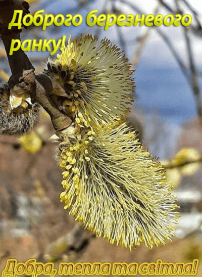 Доброго ранку березня 6