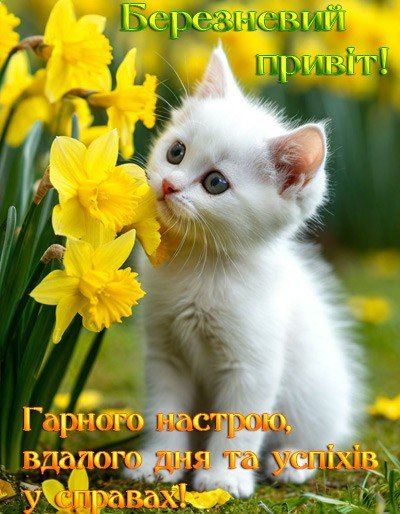 Доброго ранку березня 4
