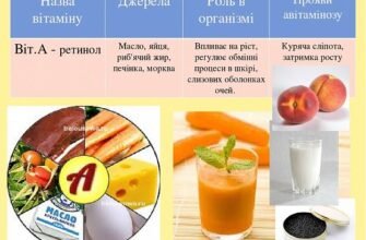Берібери: Симптоми, Причини та Лікування Авітамінозу B1