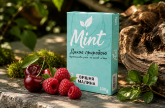 Безнікотинові кальянні суміші Mint: альтернатива тютюну для довгих сесій