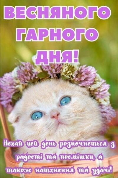 Насичений день