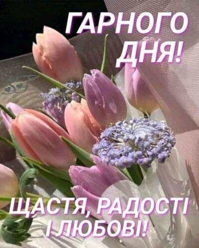 Успіхи