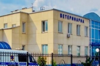 Сабуров Сергій Павлович: Життєвий Шлях Видатного Українського Діяча